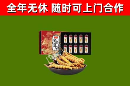 巢湖回收冬虫夏草价格