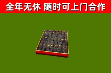 巢湖回收海参